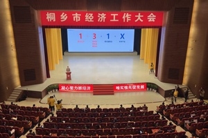 【菊鄉(xiāng)快評】經(jīng)濟(jì)工作大會上，桐鄉(xiāng)市委書記為何重點(diǎn)講巨石的電子布？